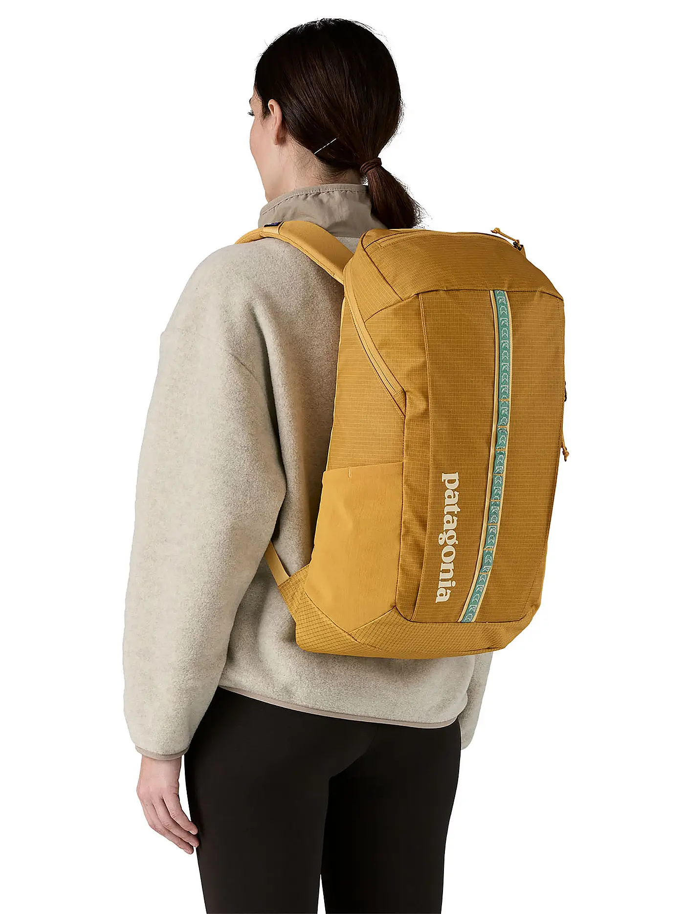 PATAGONIA | Tagesrucksack Black Hole 25L | 